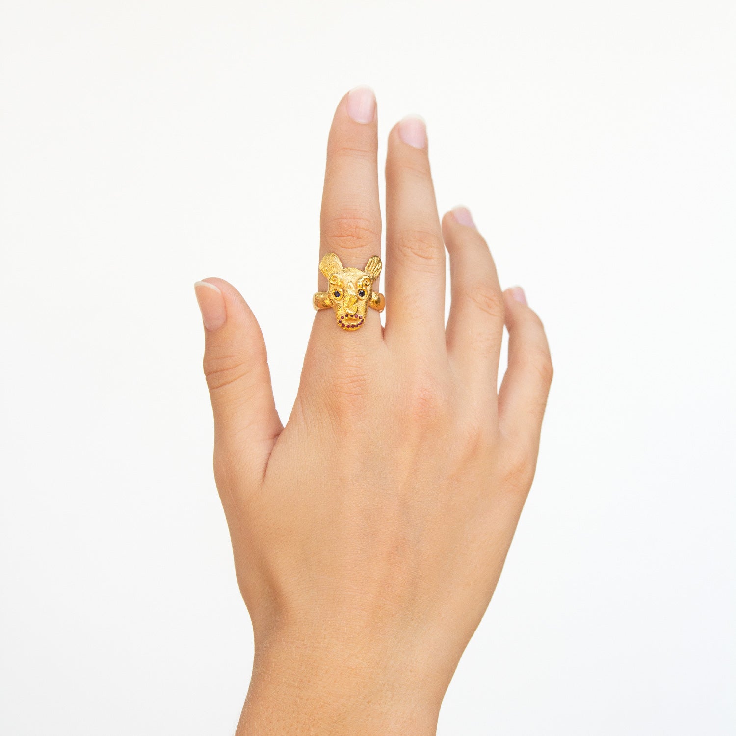 ADVISER | ring