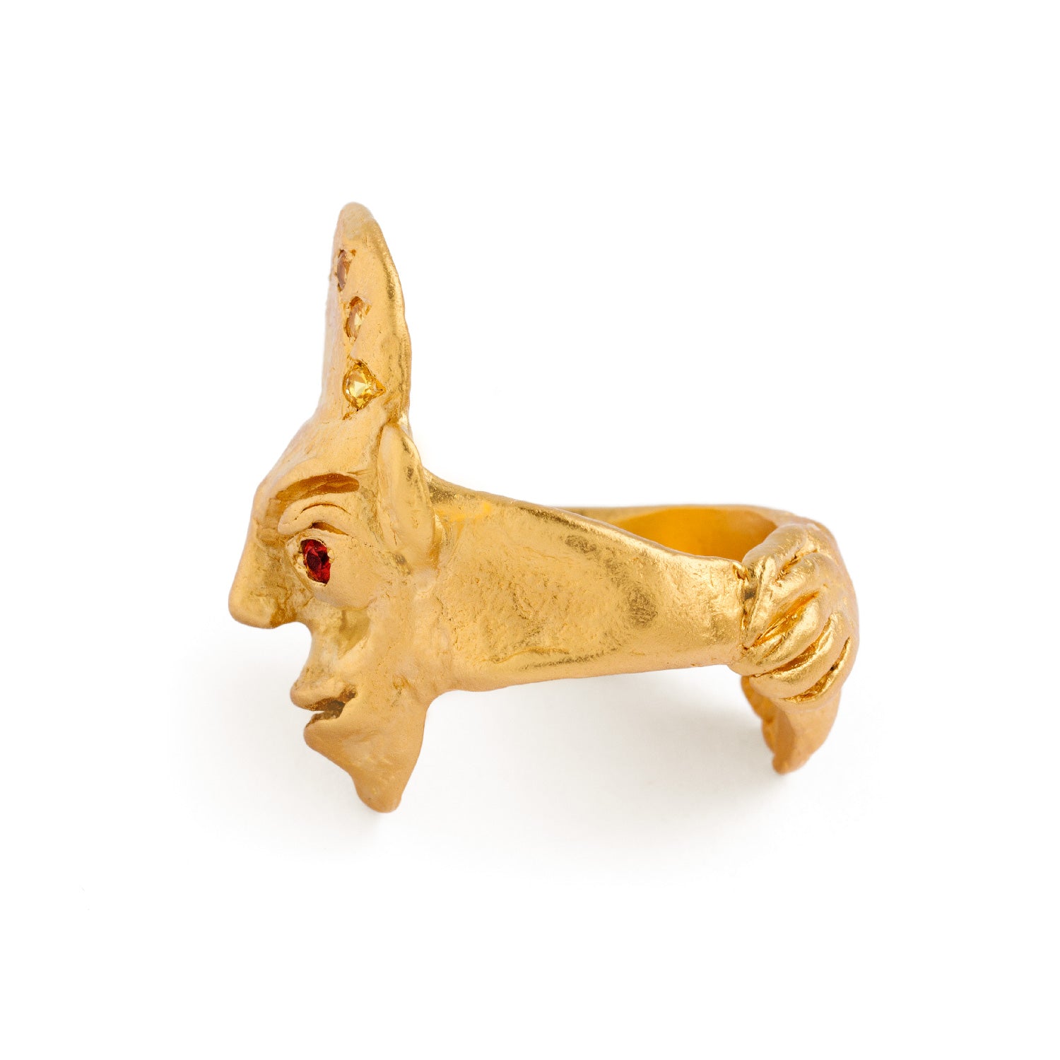 LUCKY COMPANION | ring
